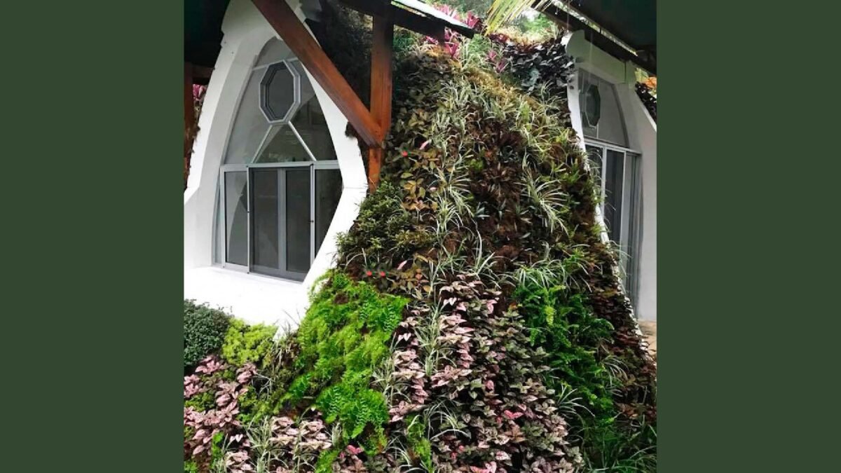 Green Cabin Premuim Essential